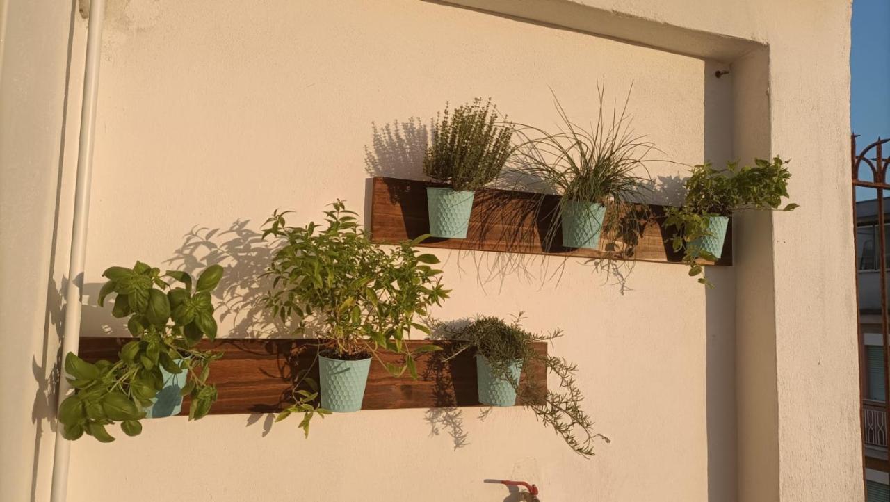Domus Vacanze Romane 外观 照片